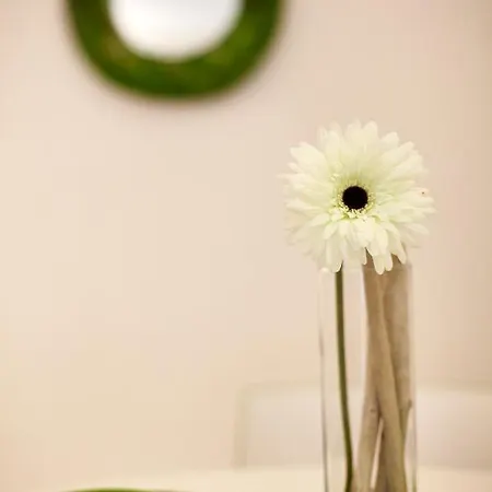 Dapper Guest house